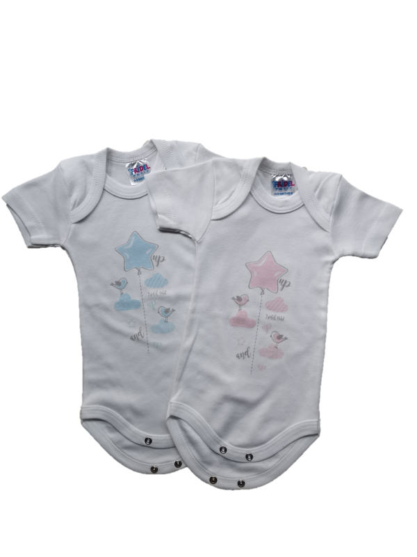 Αστέρι & Πουλάκια