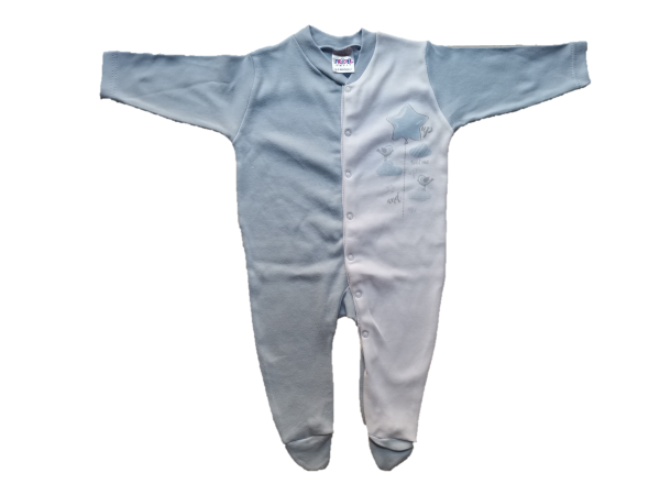 Αστεράκι και Πουλάκια